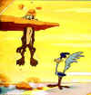 There Has To Be An Easier Way - Wile E.Coyote trying and failing again to get his dinner