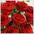 A dozen roses - Dozen roses