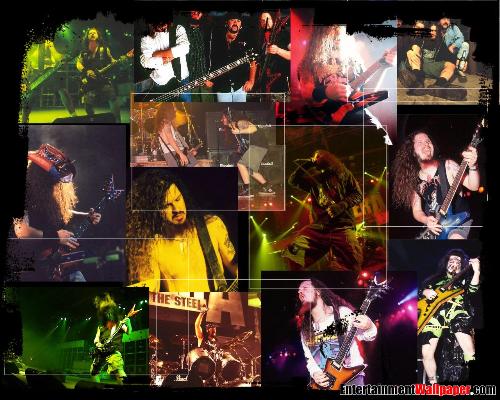 pantera - collage pantera
