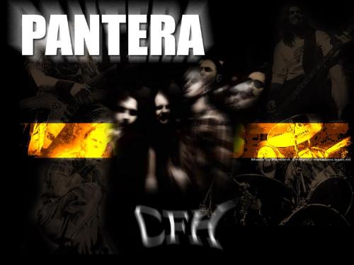 pantera - a pantera wallpaper