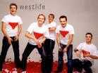 westlife - 5 guys' cute life