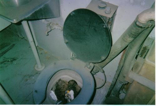 nasty picture - picture of public toilet
