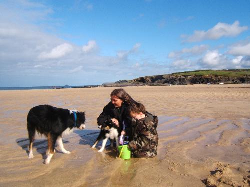 day at the beach ................................. - day at the beach....................