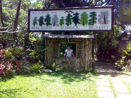 Our out of town trip to Malagos resort last oct 12 - We had nothing to do last week end,so we went to Malagos Nature resort and watched a bird show.