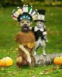 My Thanksgiving Avatar - It has both the Indian and Pilgrim which is perfect!