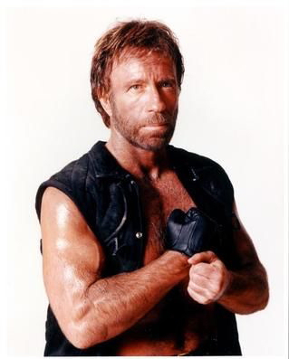 Chuck Norris can kill two stones with a bird. - Chuck Norris became the focal point for comedians, and so, a long long long list of jokes will be born!