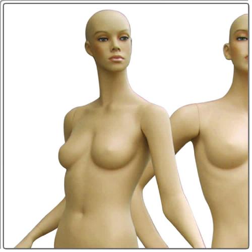 Female Mannequin  - Female Mannequin