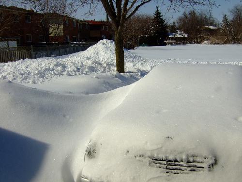 Toronto snow - Plenty of snow last year, looking forward to this year's. Our cars were burried under 1 meter of snow.