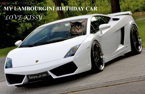 Kissy in her Lambourghini - image of Kissy in her birthday car