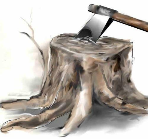 whose trunk is this anyway? -  A Ps Cs3 digital painting