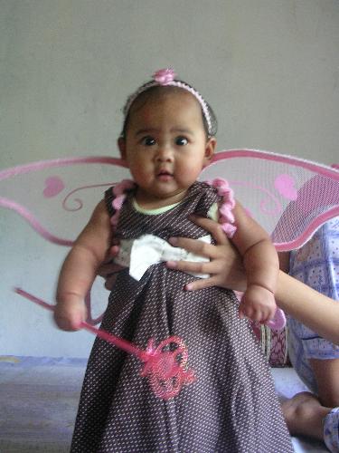 fairy svet - pictorial