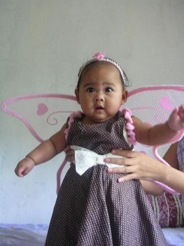 fairy stint - pictorial