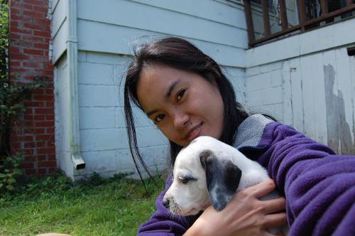 puppy - free puppy....