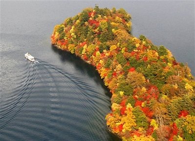 nature - See a boat sail past the trees in autumn.