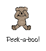 Peek a boo bear - peek a boo bear....