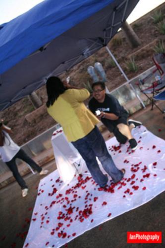 my cousin and his engagement proposal - down on bended knees