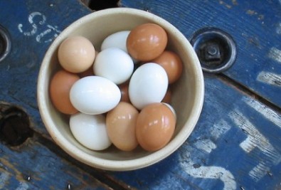 eggs, hard boiled eggs - hard boiling eggs and removing the shells for egg salad