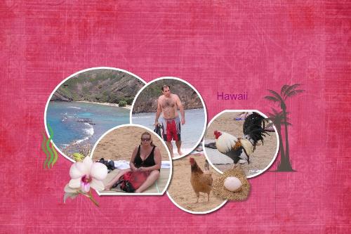 Hanauma Bay in Hawaii - montage of our day spent at Hanauma Bay in Hawaii.