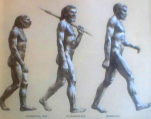 evolution of man - the evolution of man and natural selection