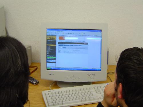 Internet Surfer - People surfing internet at home
