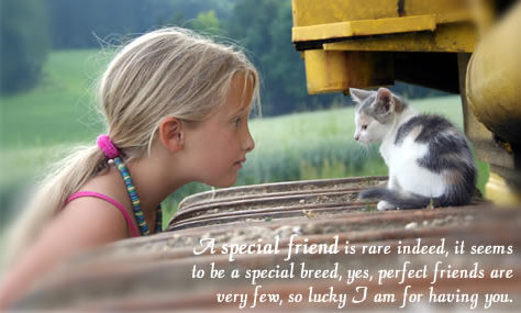 true friend - true friend are hard to find