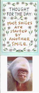 Smile - A Nice Quote