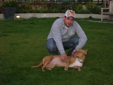 Pet - This is a photo of me and my dog maximus, he is a 9 month old pitbull that we rescued from a neglected family.