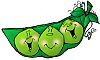 peas - funny peas in a pod