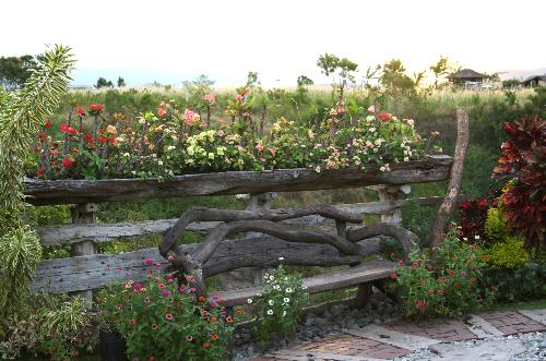 bench - Beautiful bench made of hard tree branches