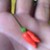 Twin Chili - Twin chili in my hand. Nice to meet this amazing thing.