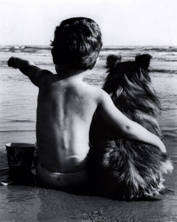 Friends - Friend to trust and spend time with at home. A dog which is very loyal and my best friend.