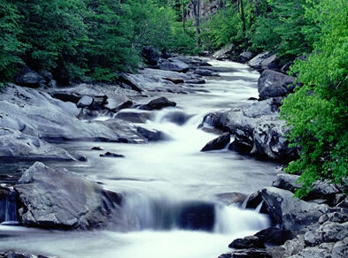 longest river - which is the longest river ???