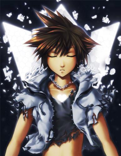 Sora - A picture of Sora