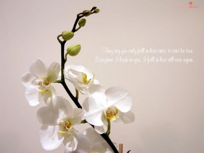 love - love is gr8!!