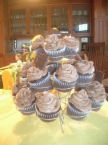 cupcakes - chocolate cupcakes
