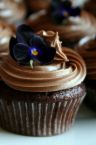 cupcakes - chocolate cupcakes