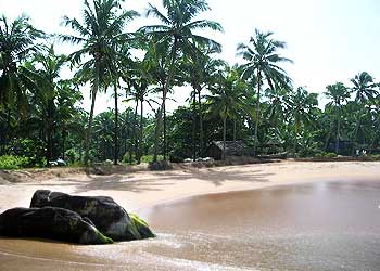 Kappad beach - The beauty of Kappad is not the sole reason for the ever increasing number of tourists flocking it. Kappad has its historical and religious attractions too, in store for the benefit of tourists.  Located at a distance of 16 km from the Kozikode town, the Kappad beach is wrapped in a sheet of history. Uncover it to know that this was the land where the famous Portuguese sailor, Vasco da Gama set his feet in the year 1498 along with 170 men. This marked the beginning of a new era and new relationship between the Indians and the Portuguese which lasted for 4 to 5 centuries later.  Today, Kappad attracts a whole lot of visitors desirous of knowing more about the Portuguese and the native Indians of that time. Also, the unblemished beauty and serenity of the beach is something that is intact despite increasing tourism.