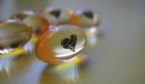 medicines - in capsule with heart design