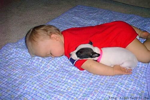 baby - cute baby sleeping