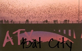 South Congress Bridge bats, Austin, TX - My favorite place in the whole world. I can't wait to get back.