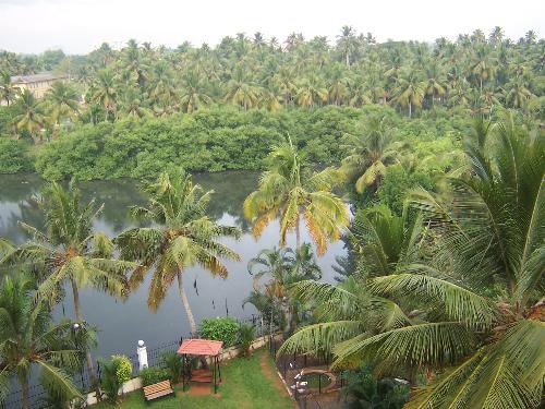 Nature-- - This photo is taken from a hotel room in kochi.Kerela, in india is also known as 'Gods Own Country' and it is very rich in natural beauties. Observe how Such a small land scape captured in the camera has such a fertile trees..I always wounder how this soil is so much fertile