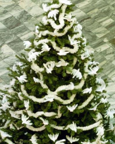 Christmas Tree - Pine Tree