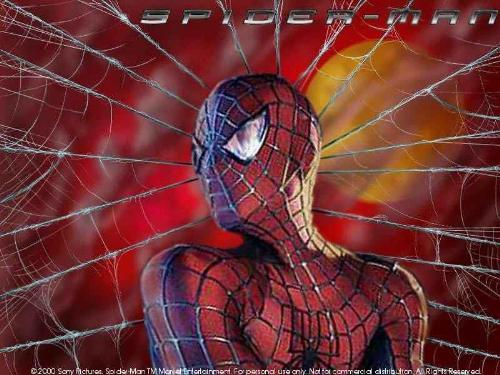 Spiderman - Spiderman angry look