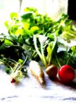 herbs - herbal medicines