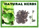 herbs - natural herbs