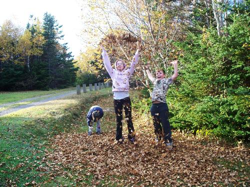 autumn fun - The children and I out in the woods on a beautiful fall day. Jumping in the leaves and throwing them around. Great fun.