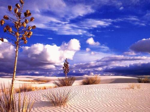 nature - a beautiful scene