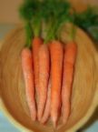 Carrots - A picture of healthy carrots