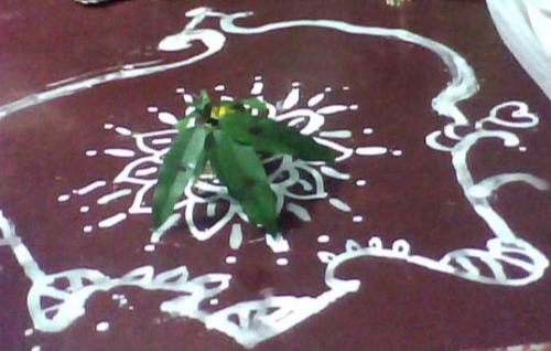 Ritual - Mango leaves are used in almost all hindu rituals.