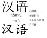 chinese - chinese character, means chinese language
